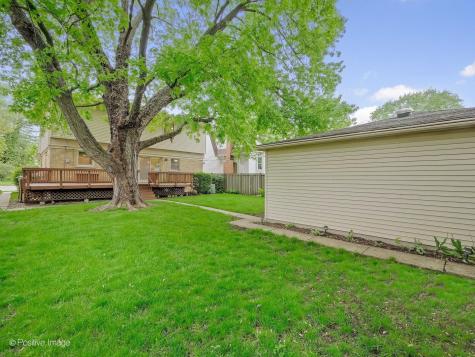 613 North Spring Avenue La Grange Park IL 60526