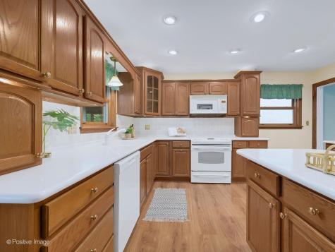 613 North Spring Avenue La Grange Park IL 60526