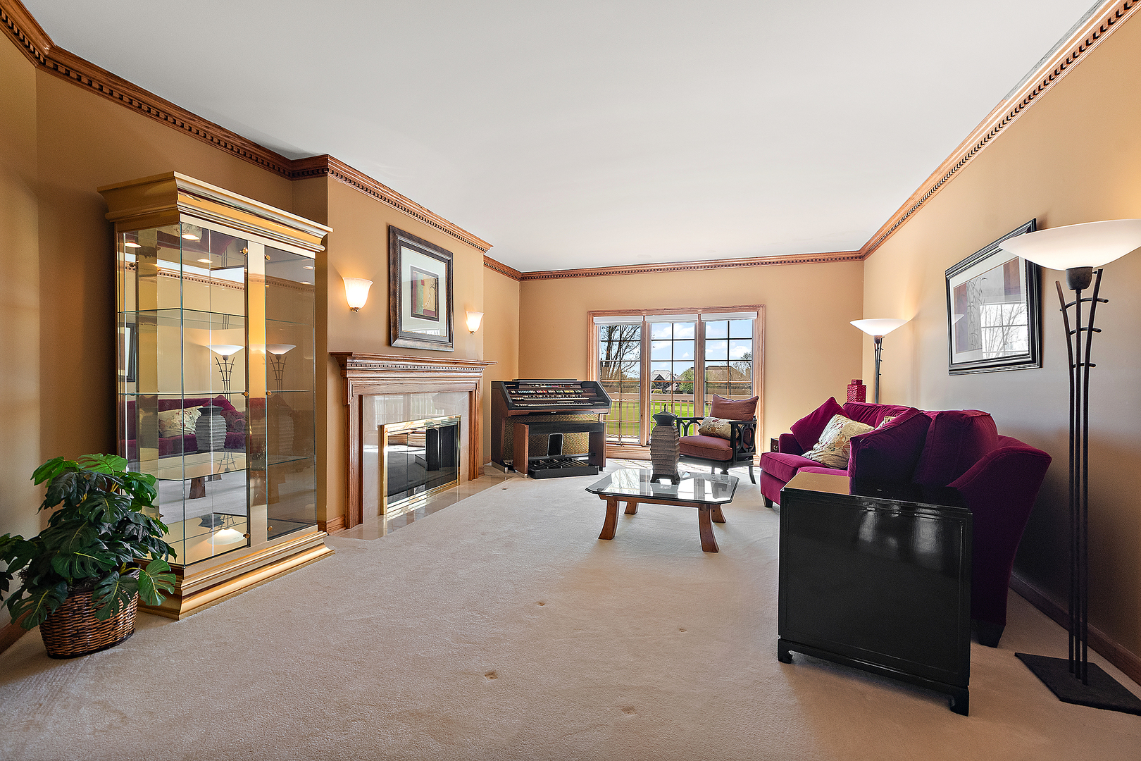 10555 Wildflower Road Orland Park IL 60462