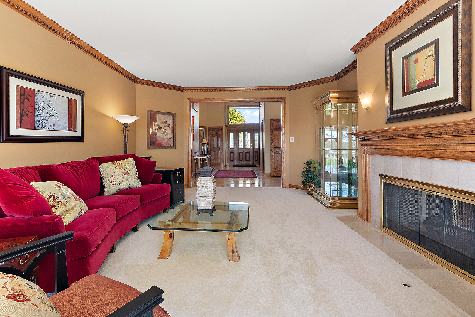 10555 Wildflower Road Orland Park IL 60462