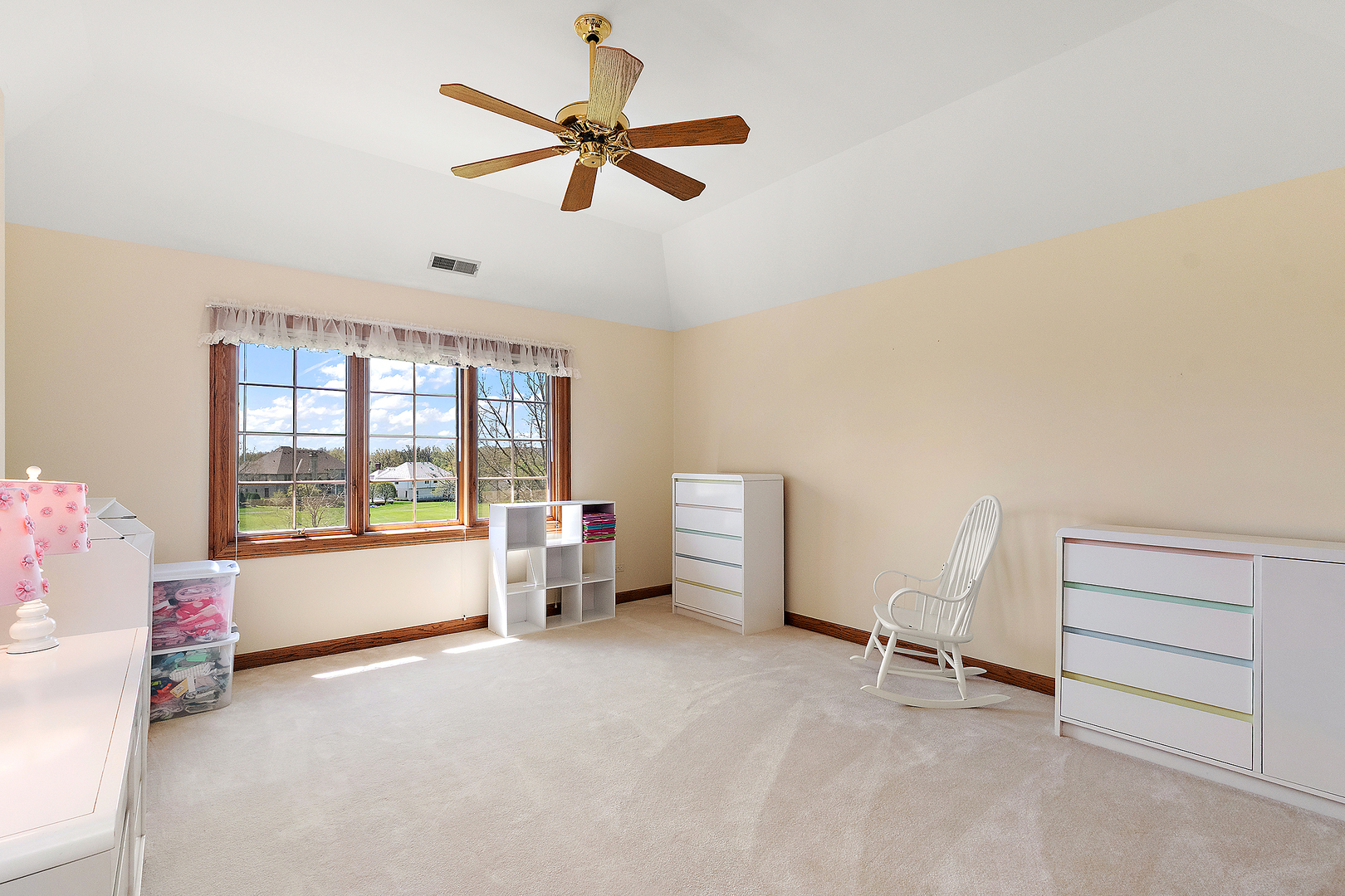10555 Wildflower Road Orland Park IL 60462