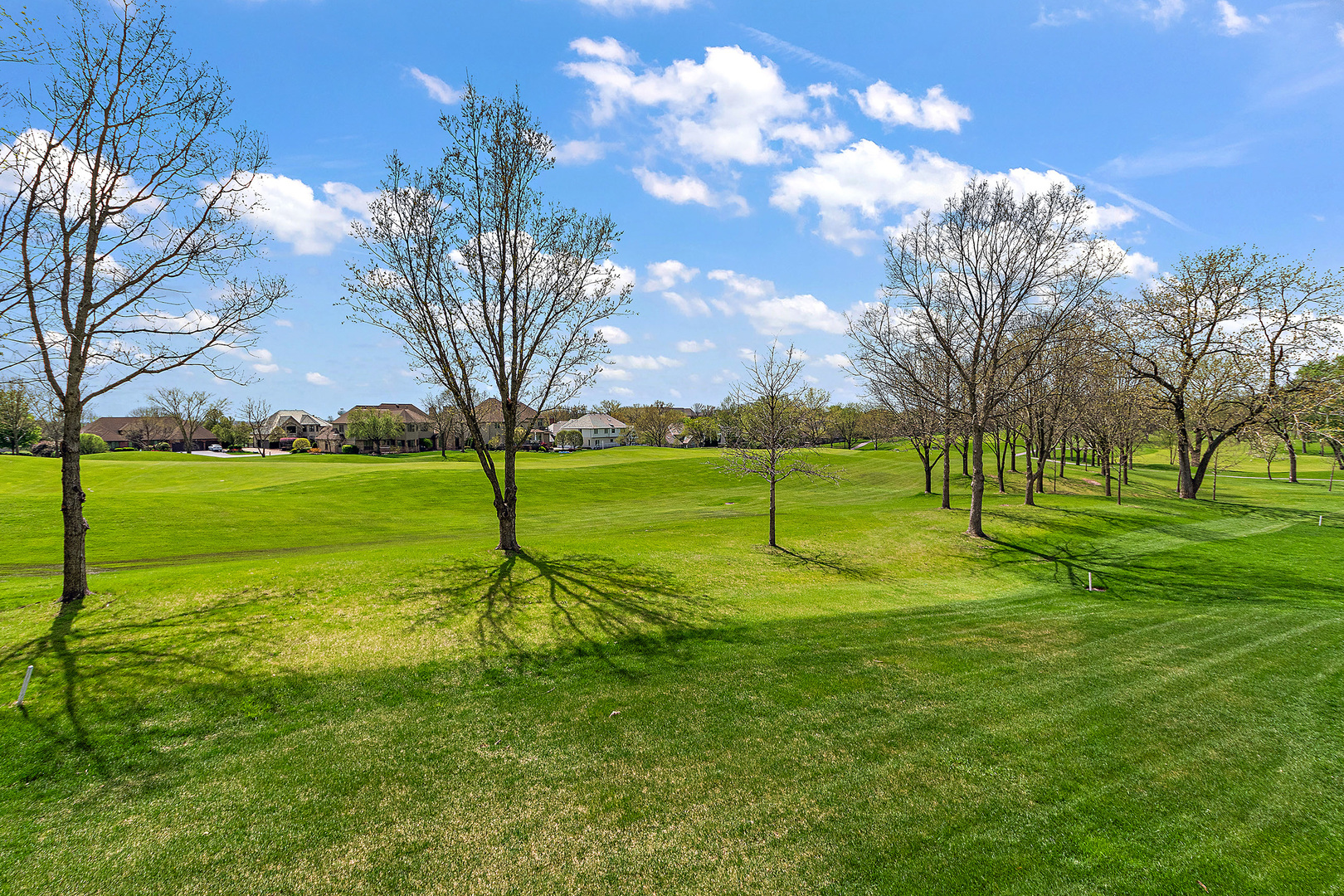 10555 Wildflower Road Orland Park IL 60462