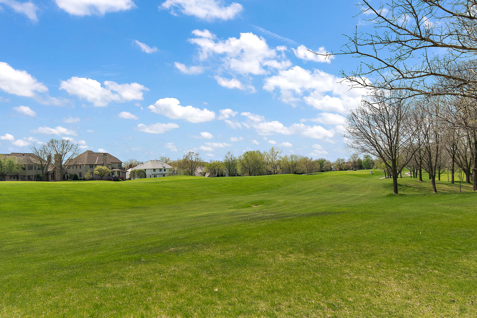 10555 Wildflower Road Orland Park IL 60462