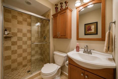 12152 Forestview Drive Orland Park IL 60467