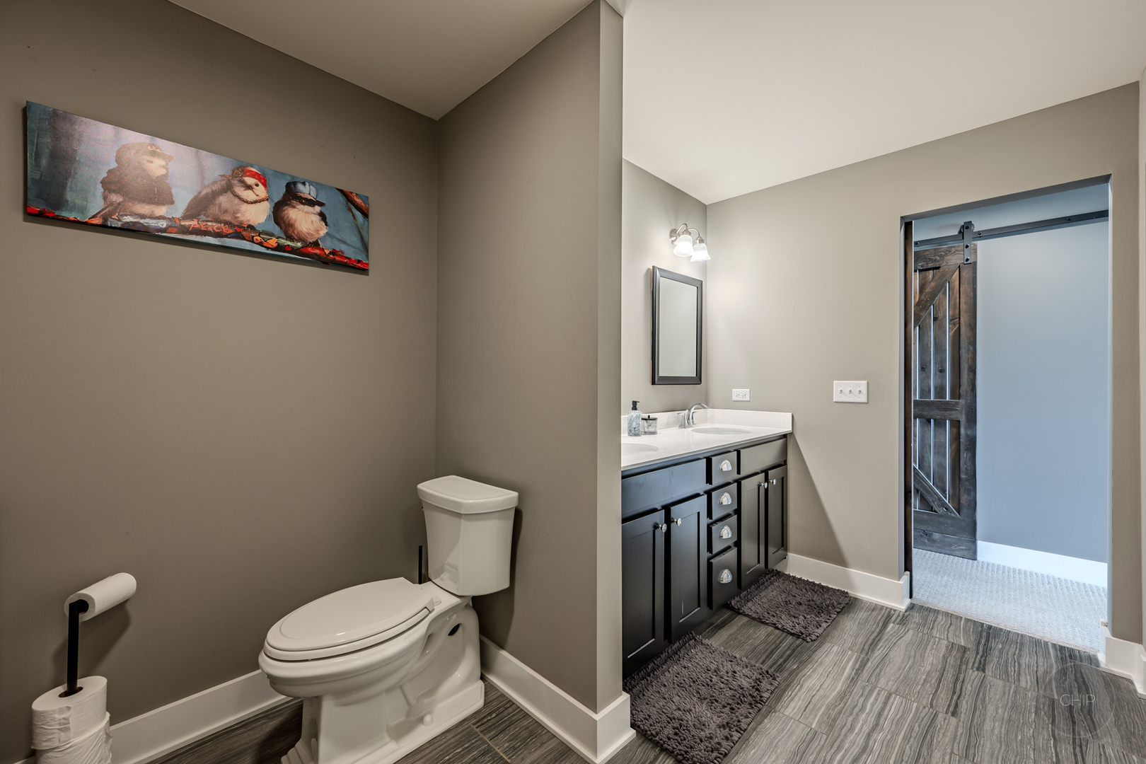 4275 Fiona Lane Lisle IL 60532