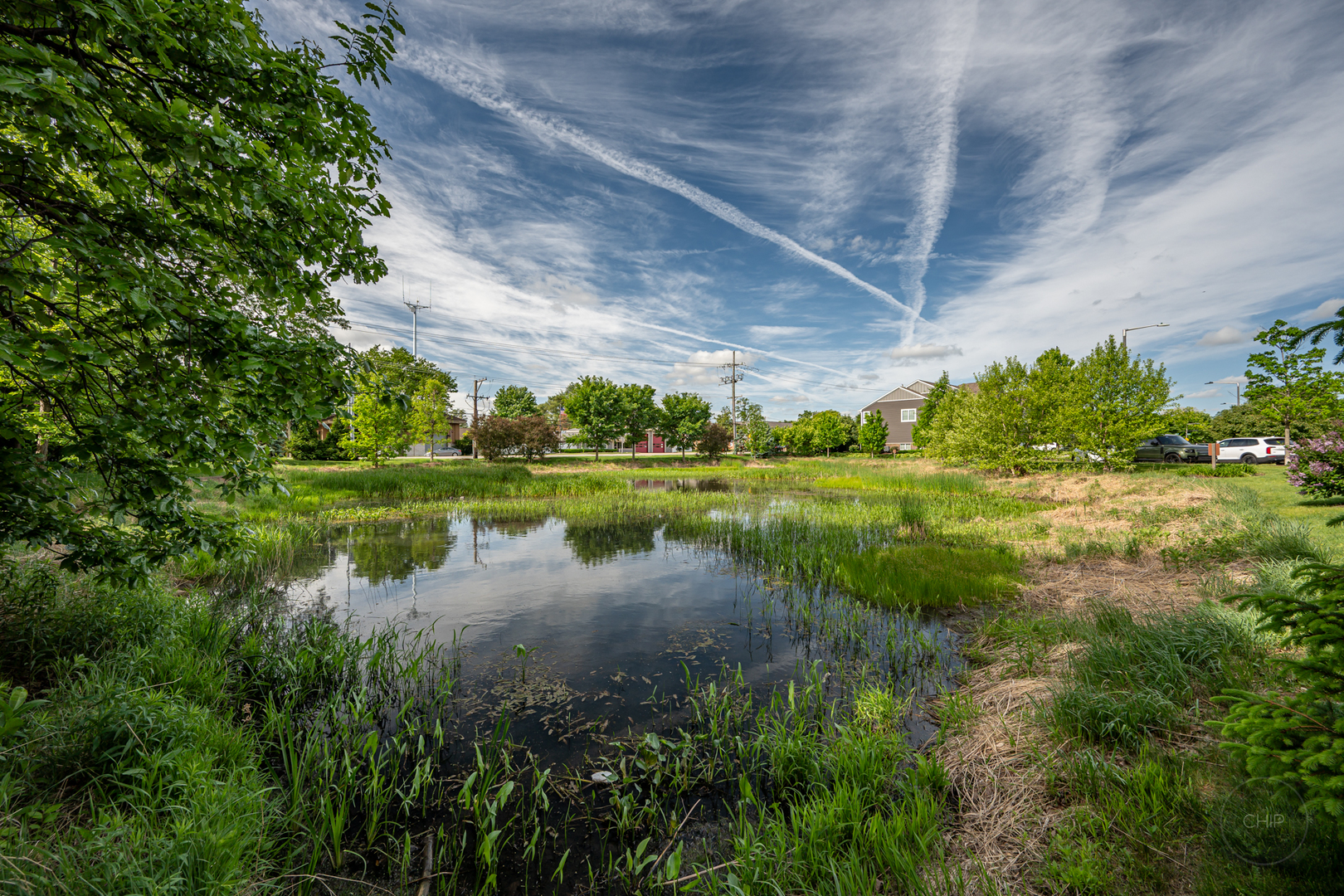 4275 Fiona Lane Lisle IL 60532