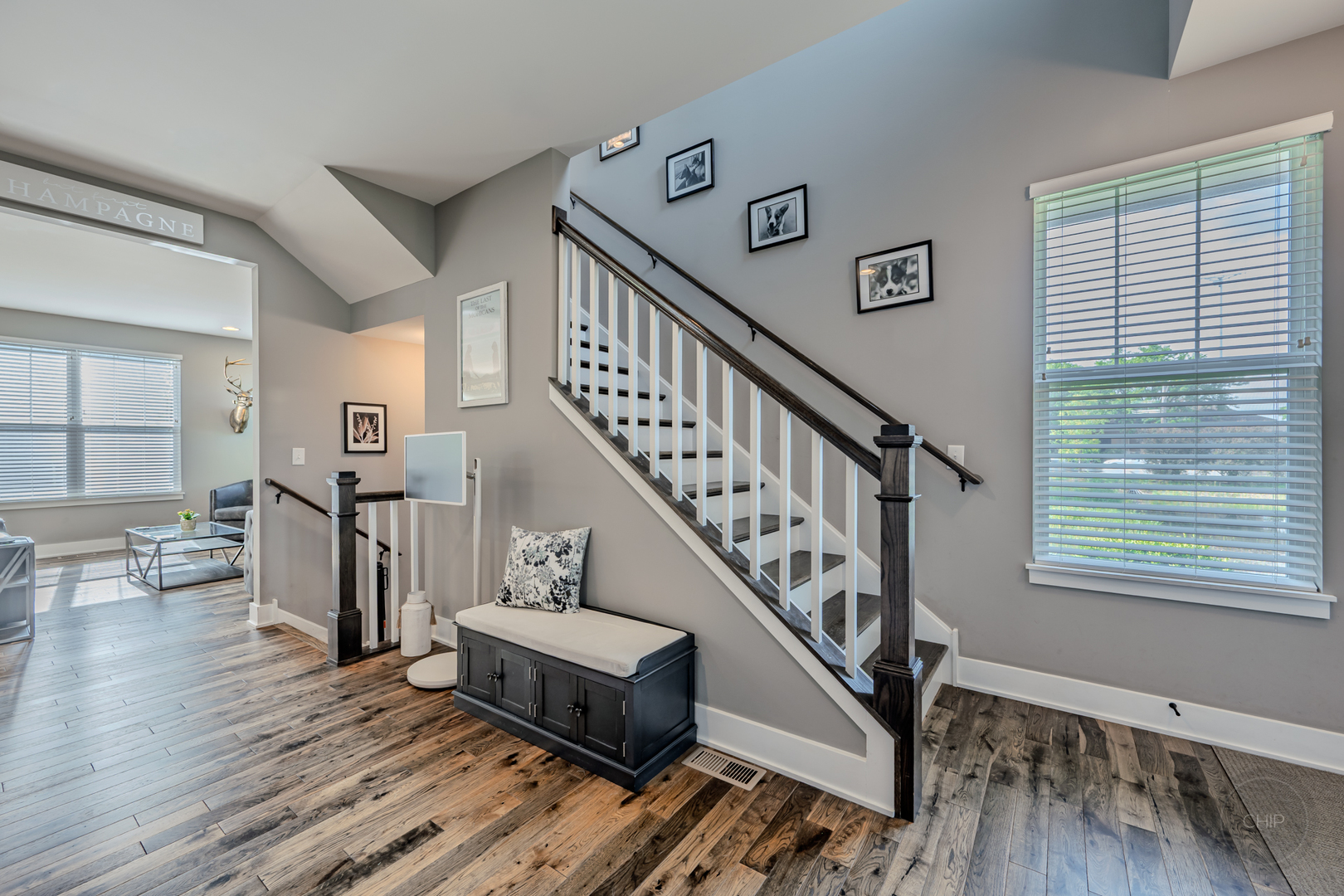 4275 Fiona Lane Lisle IL 60532