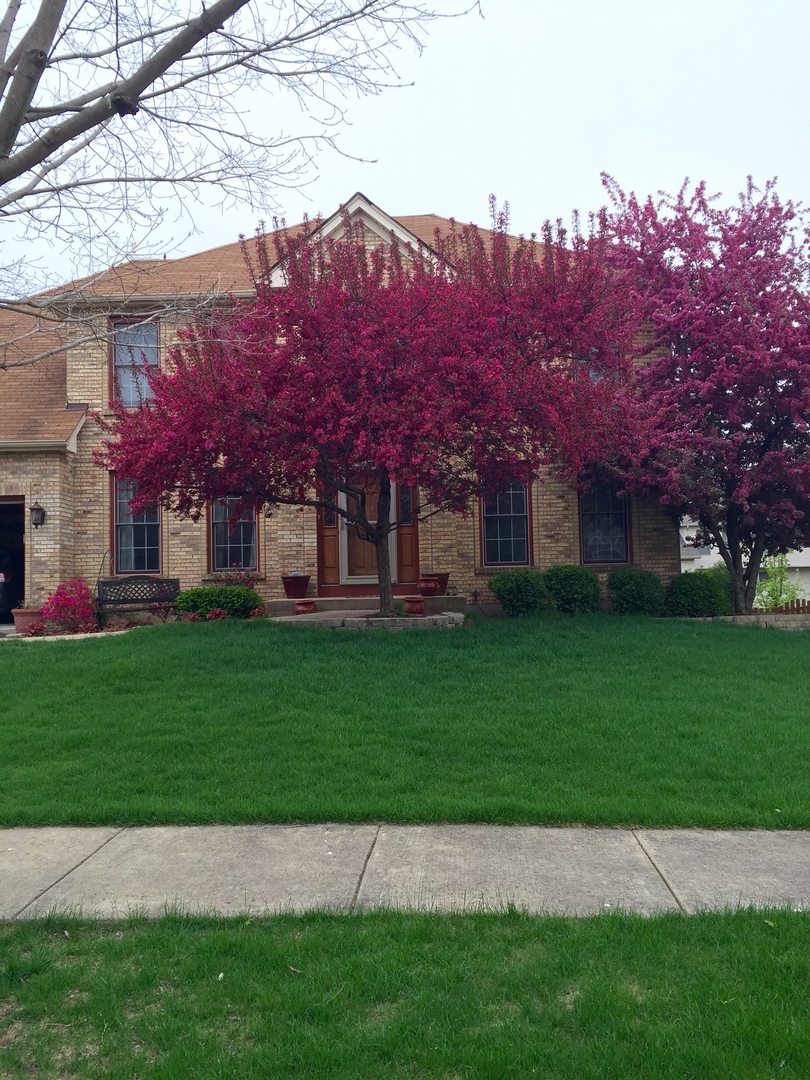 113 Woodlet Lane Bolingbrook IL 60490