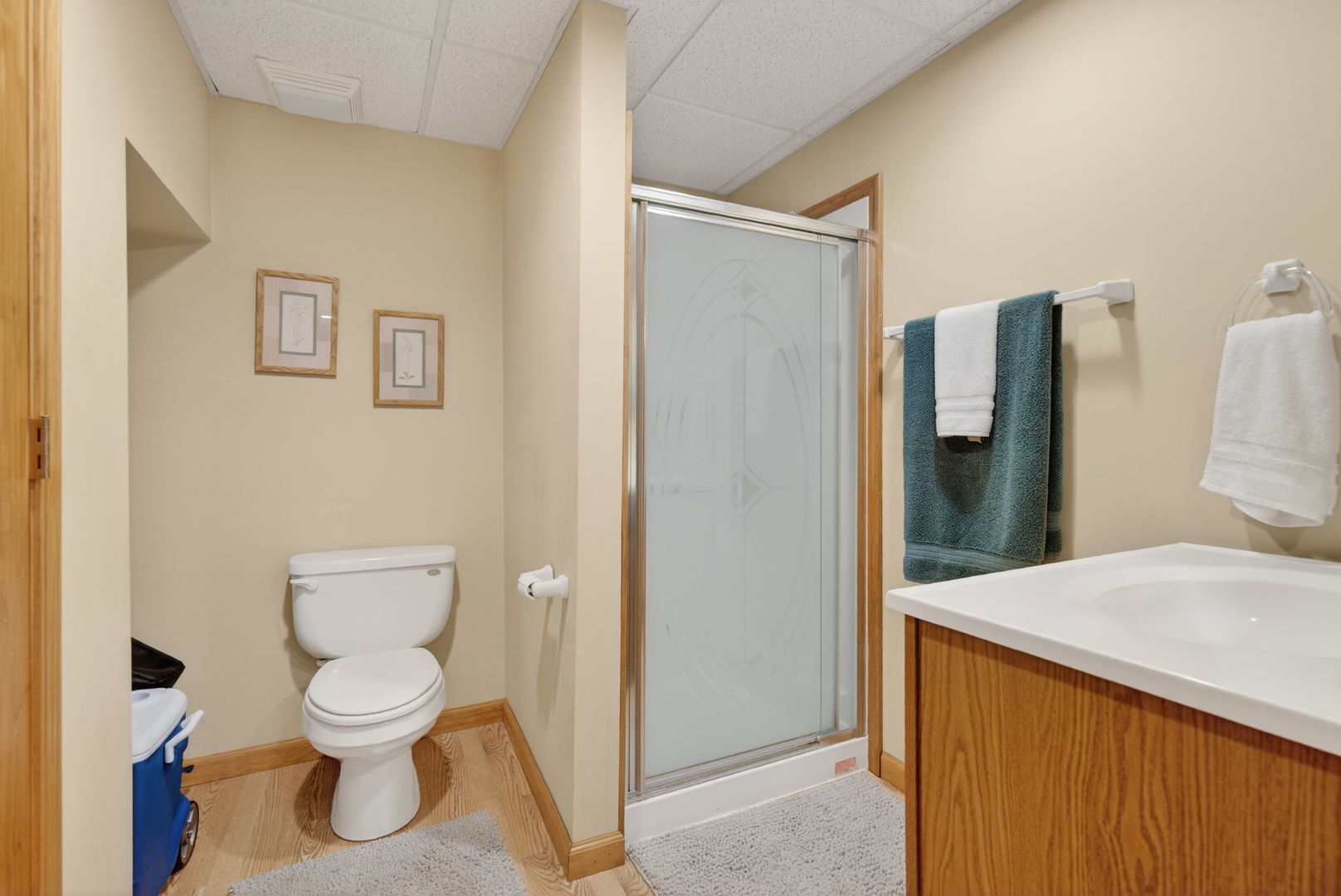 113 Woodlet Lane Bolingbrook IL 60490