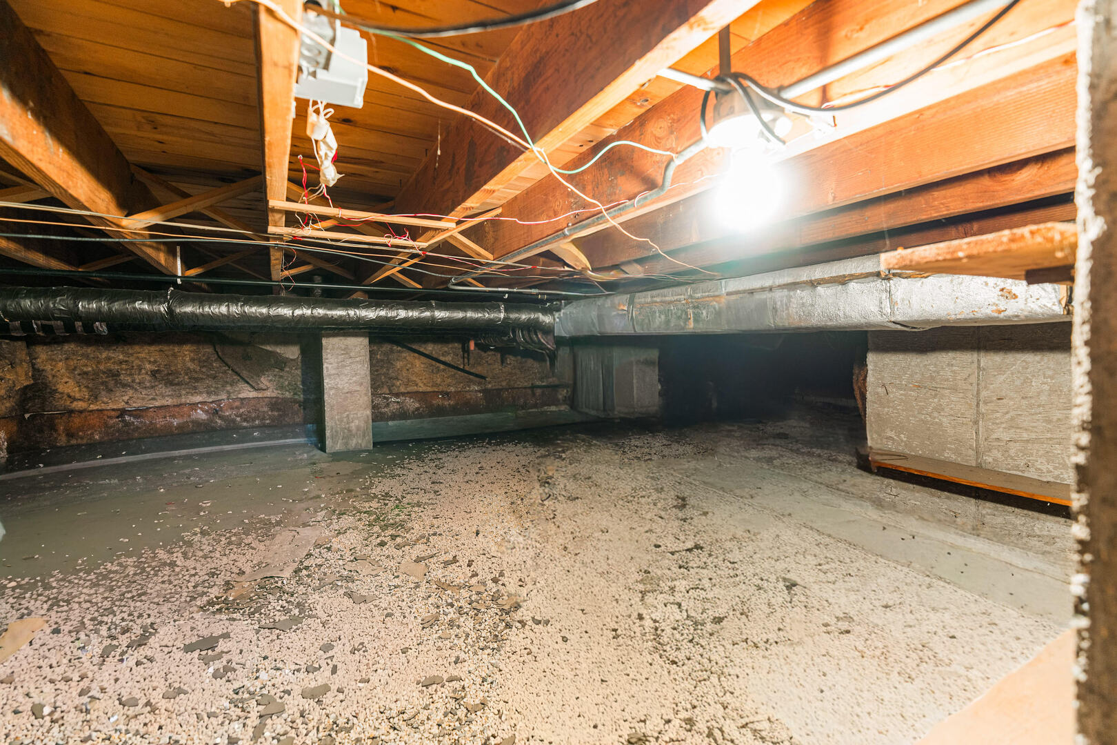 435 East Park Avenue Elmhurst IL 60126