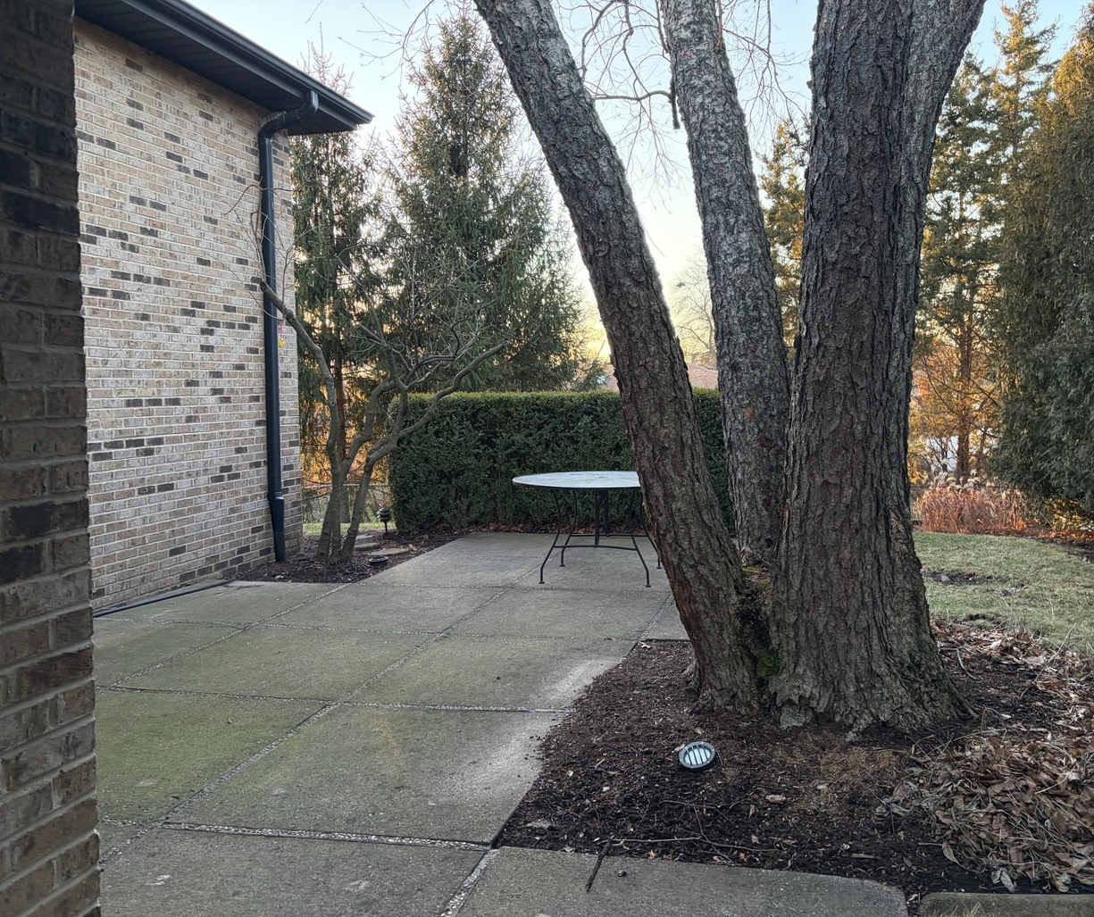 7700 Apple Tree Lane Willowbrook IL 60527