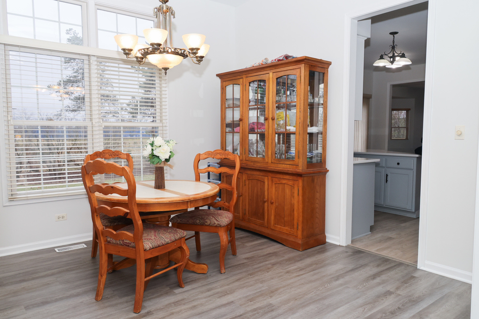 1011 Napa Lane Aurora IL 60502