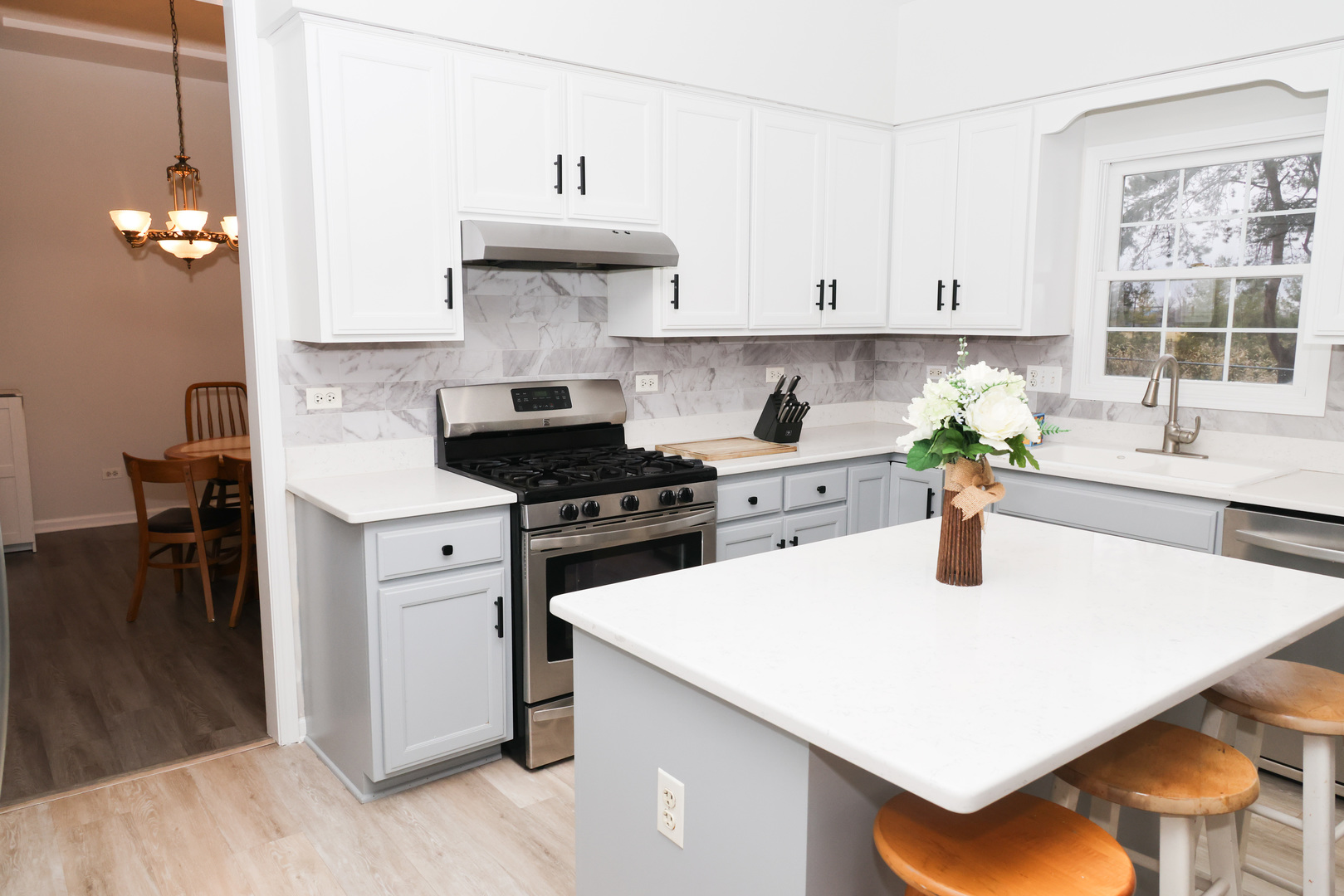 1011 Napa Lane Aurora IL 60502