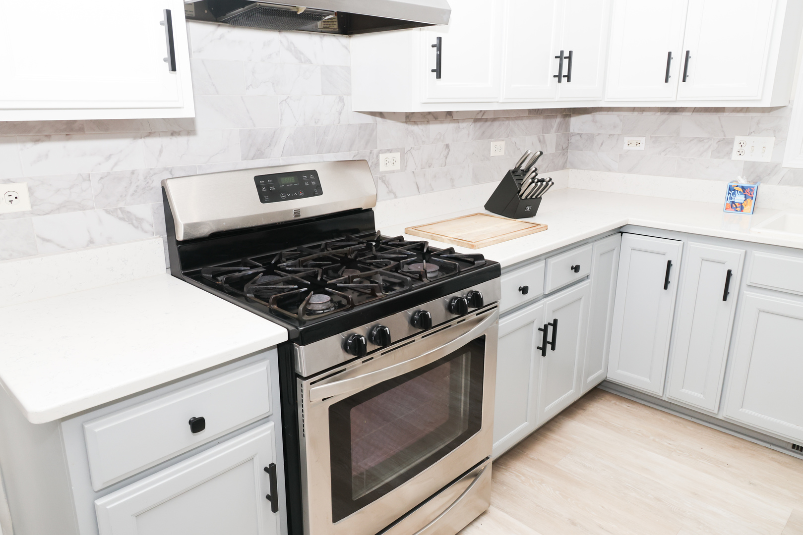 1011 Napa Lane Aurora IL 60502