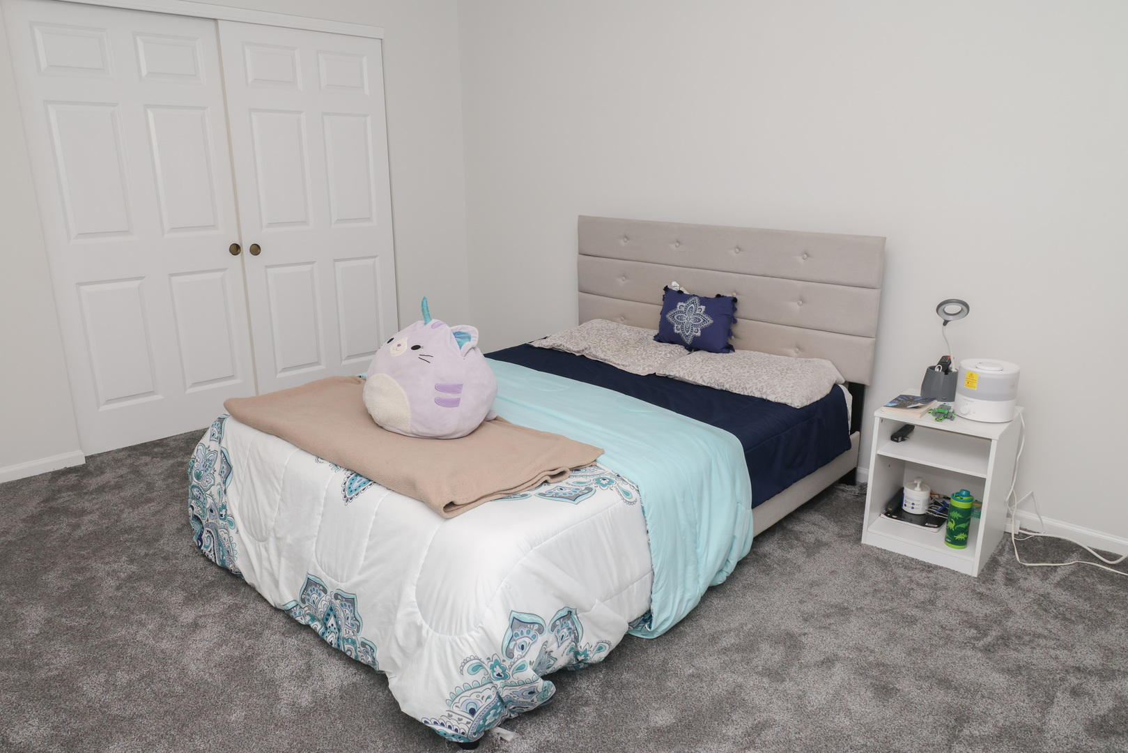 1011 Napa Lane Aurora IL 60502