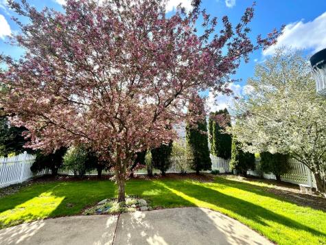 12440 South Bobwhite Lane Plainfield IL 60585