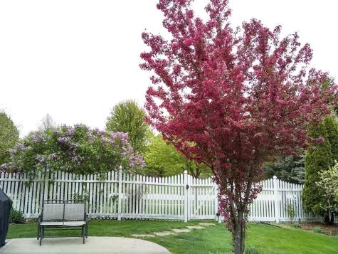 12440 South Bobwhite Lane Plainfield IL 60585
