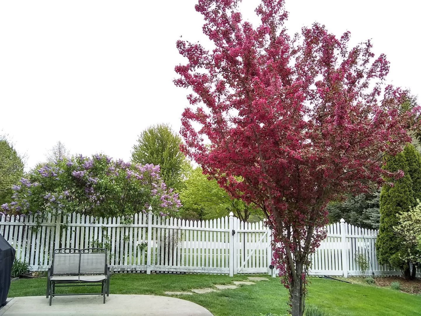 12440 South Bobwhite Lane Plainfield IL 60585