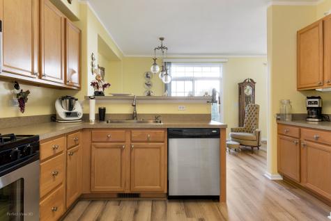 20524 Mcgilvrey Drive Crest Hill IL 60403