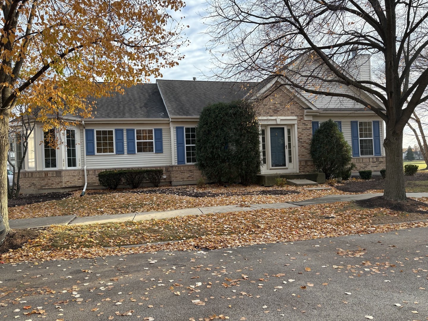 21019 West Torrey Pines Court Plainfield IL 60544