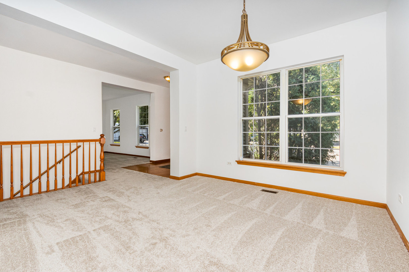 21019 West Torrey Pines Court Plainfield IL 60544