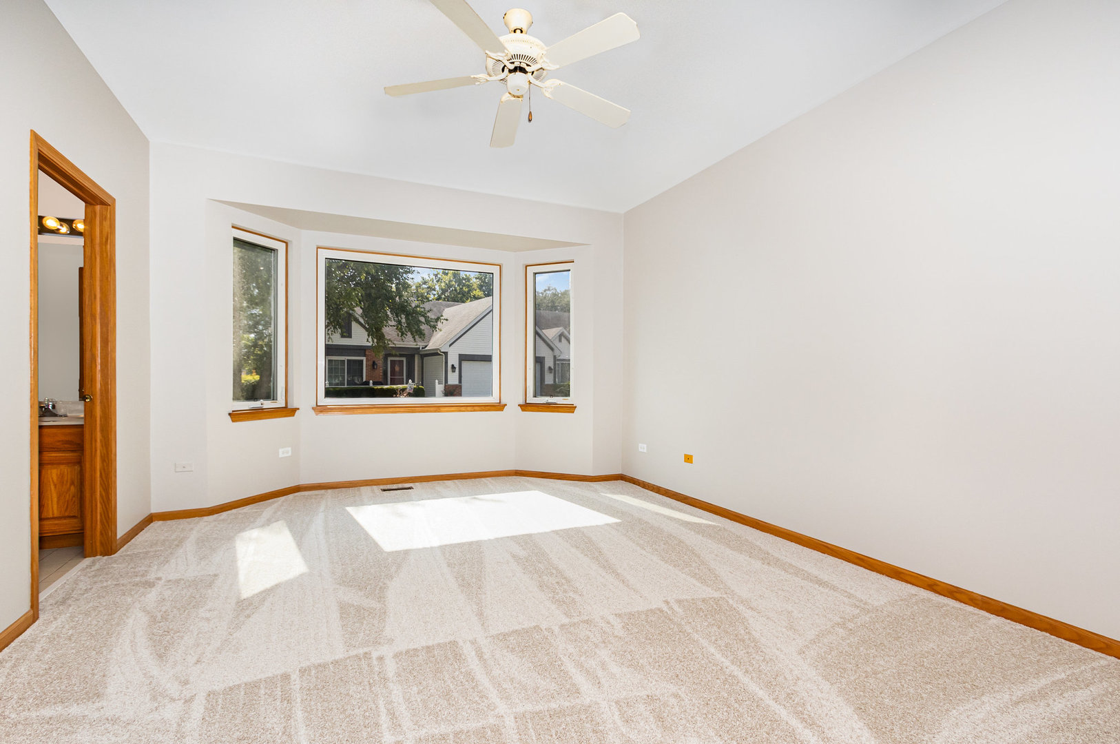 21019 West Torrey Pines Court Plainfield IL 60544