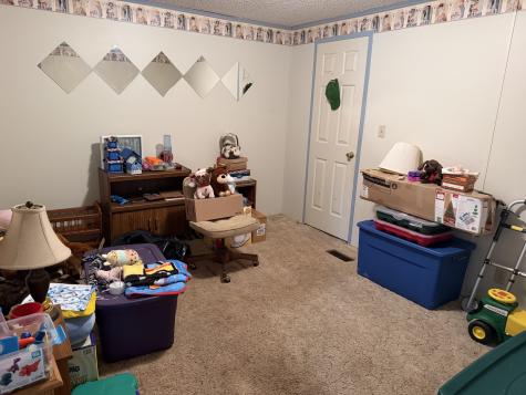 2041 Mills Cart Road Salem IL 62881