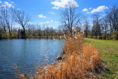 2041 Mills Cart Road Salem IL 62881
