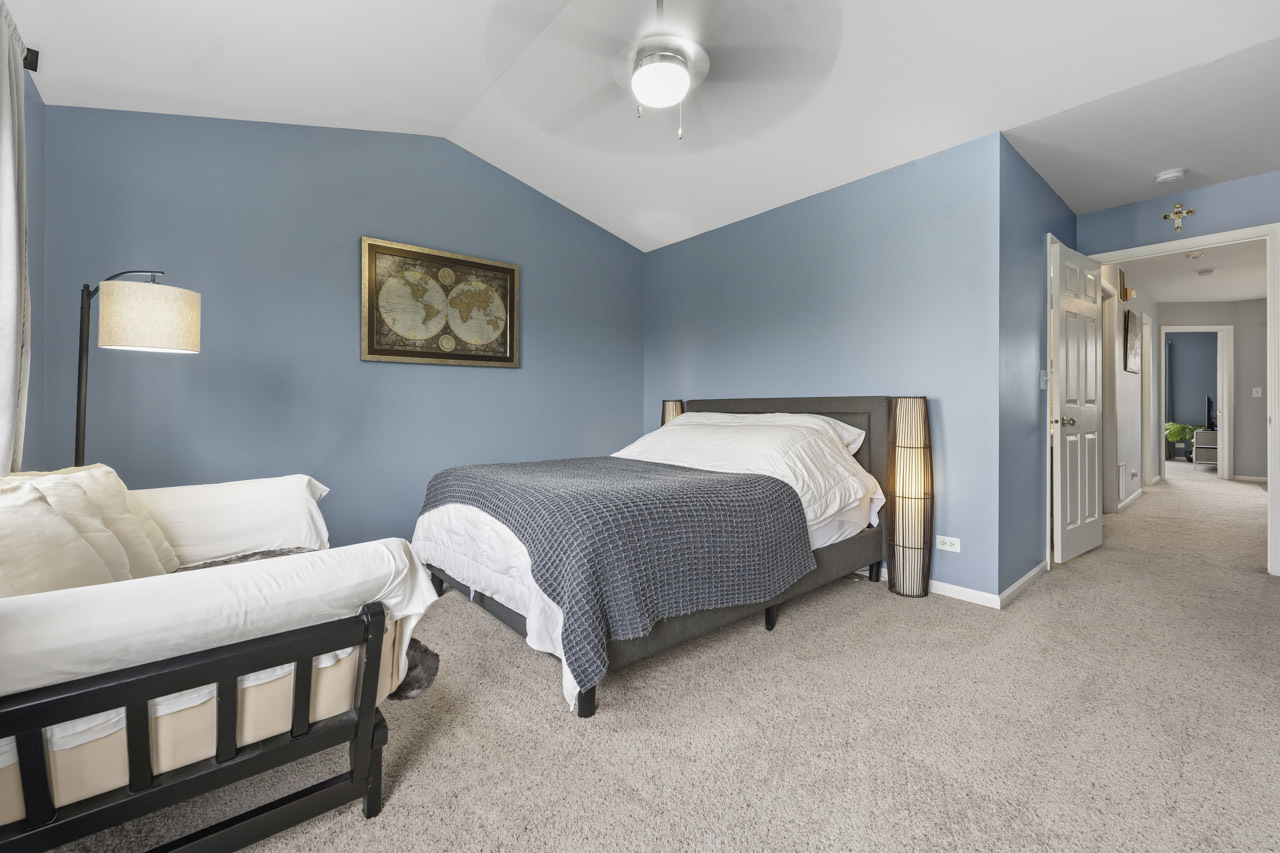 913 Genesee Drive Naperville IL 60563