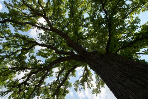 17049 West Edwards Road Antioch IL 60002