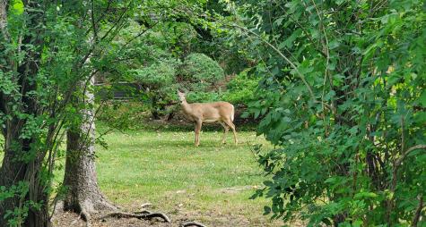 2013 Castlewood Road Highland Park IL 60035