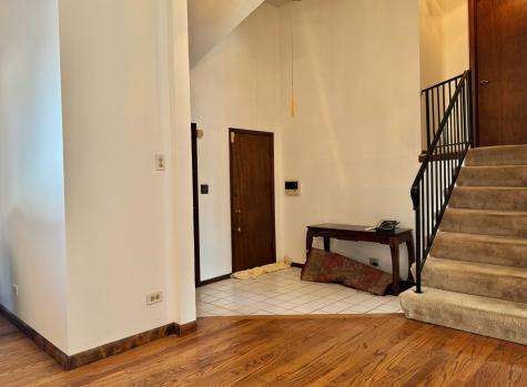 250 Anita Street Des Plaines IL 60016