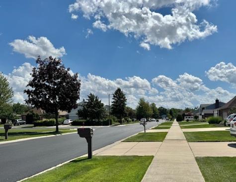250 Anita Street Des Plaines IL 60016