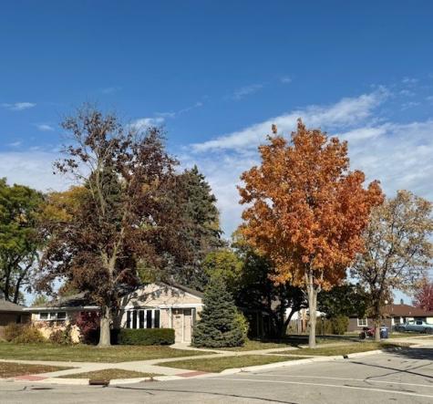 250 Anita Street Des Plaines IL 60016