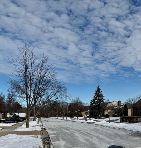 250 Anita Street Des Plaines IL 60016