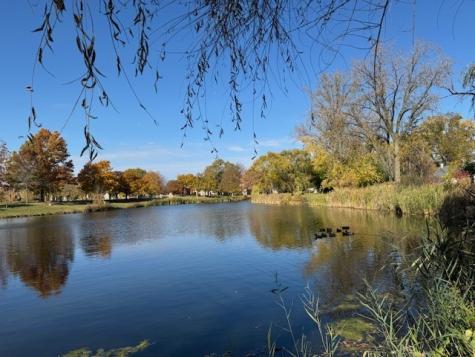 250 Anita Street Des Plaines IL 60016