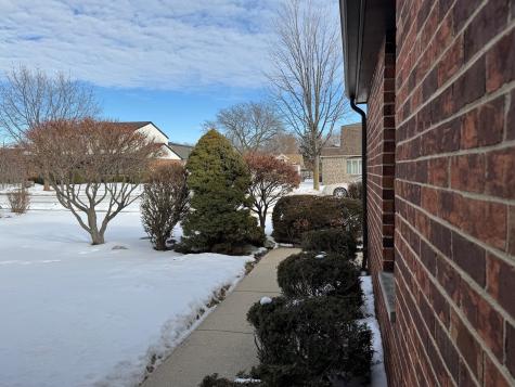 250 Anita Street Des Plaines IL 60016