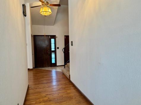 250 Anita Street Des Plaines IL 60016