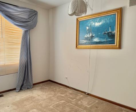 250 Anita Street Des Plaines IL 60016