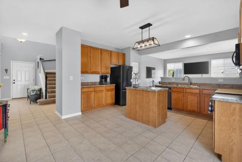 704 Camden Drive Minooka IL 60447