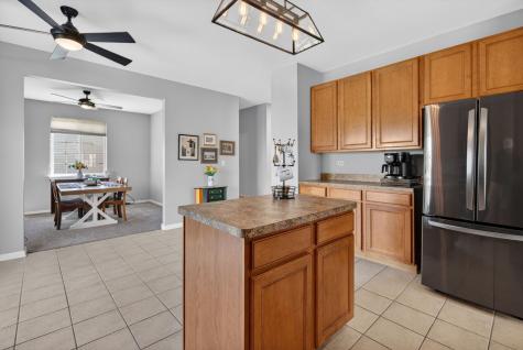 704 Camden Drive Minooka IL 60447