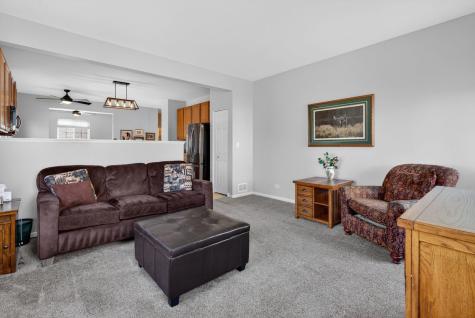704 Camden Drive Minooka IL 60447