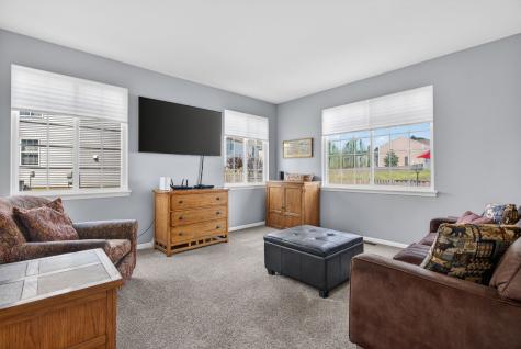 704 Camden Drive Minooka IL 60447