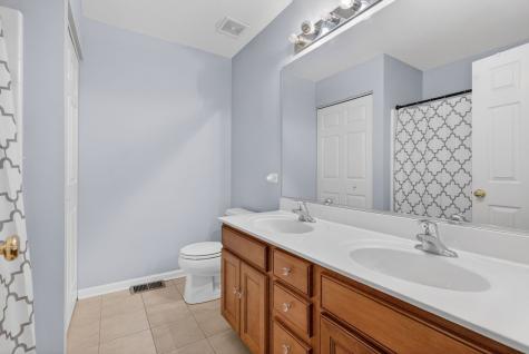 704 Camden Drive Minooka IL 60447