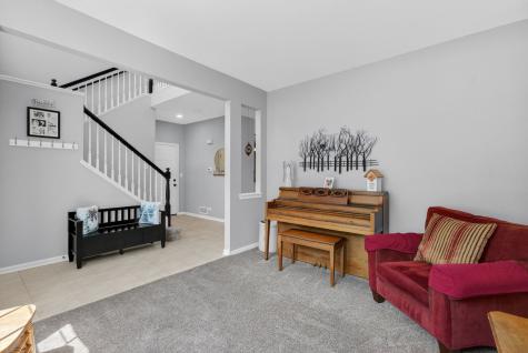 704 Camden Drive Minooka IL 60447