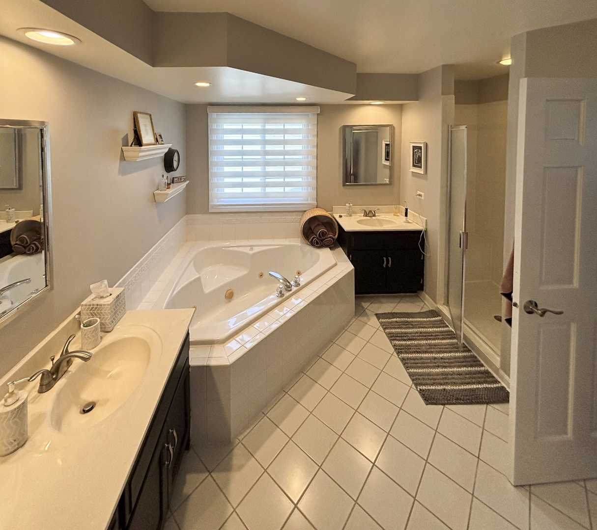 3740 Caine Drive Naperville IL 60564