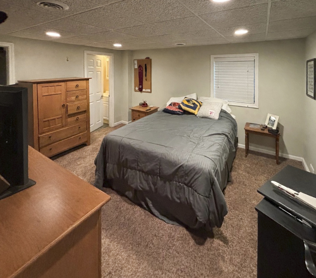 3740 Caine Drive Naperville IL 60564