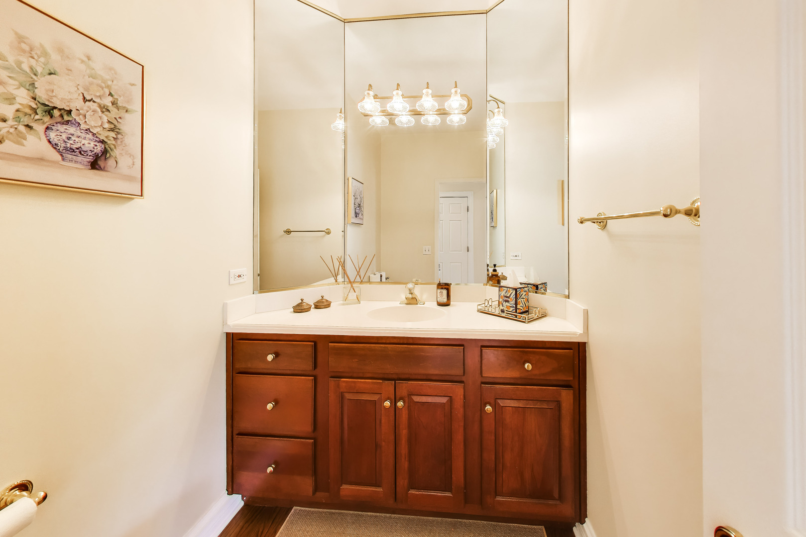 2615 Saddlebrook Drive Naperville IL 60564