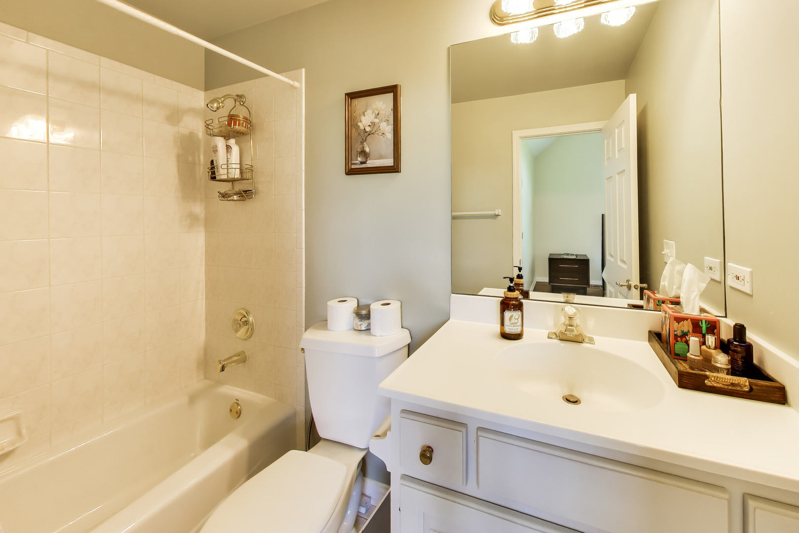 2615 Saddlebrook Drive Naperville IL 60564