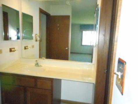 1017 Brentwood Circle Buffalo Grove IL 60089